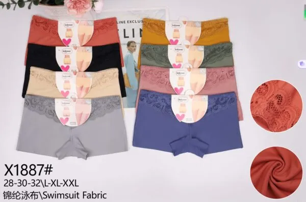 Boxer Caballero - X1887#