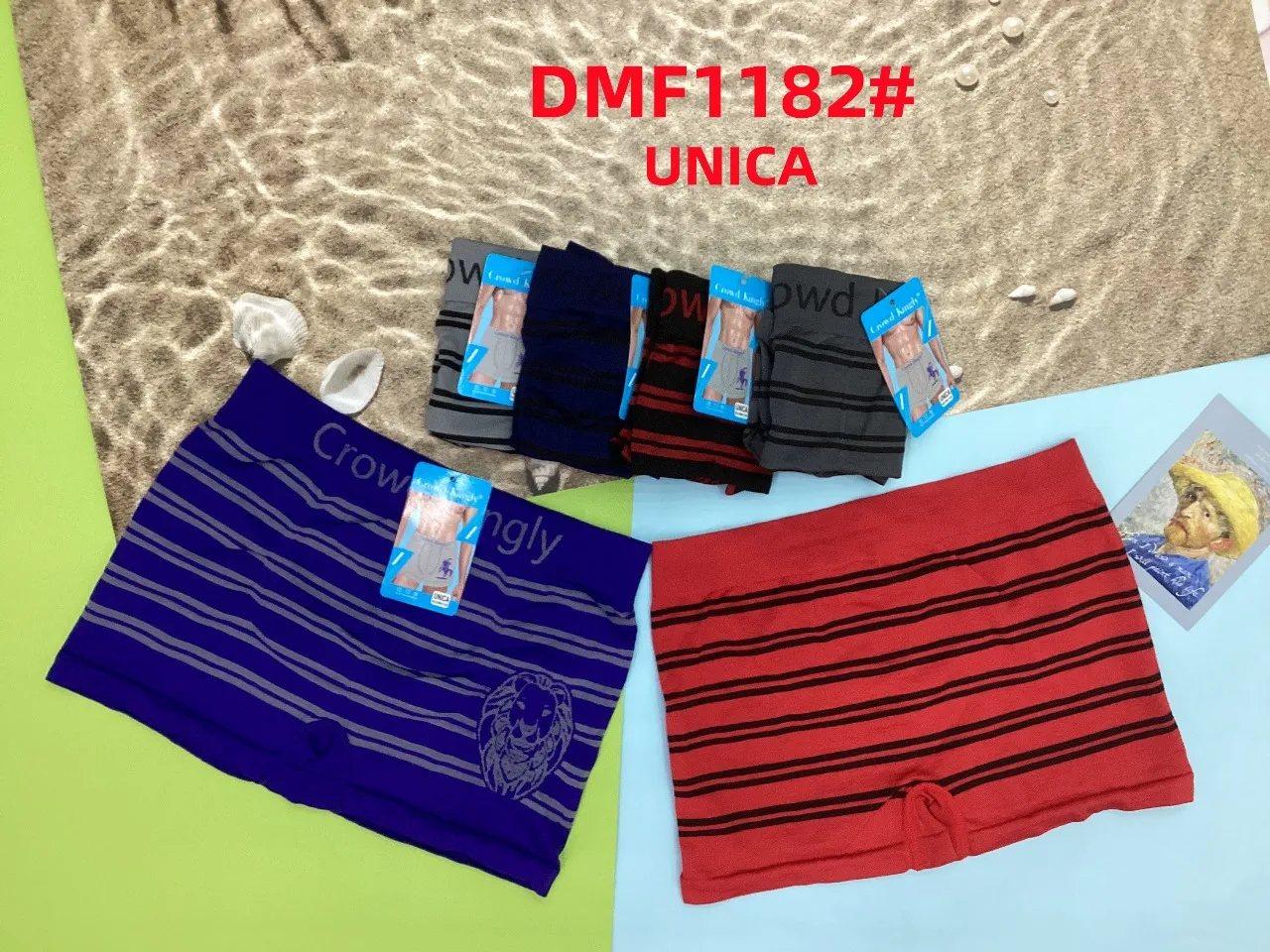 Boxer Crowd Kingly - DMF1182