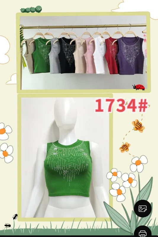 Crop Top Con Estilo-1-1734