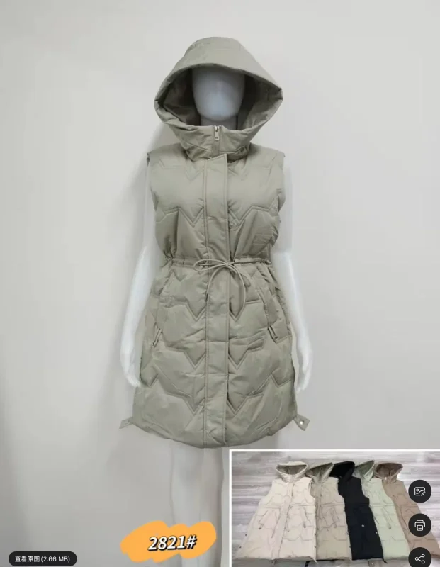 Chaleco Con Capucha-2821