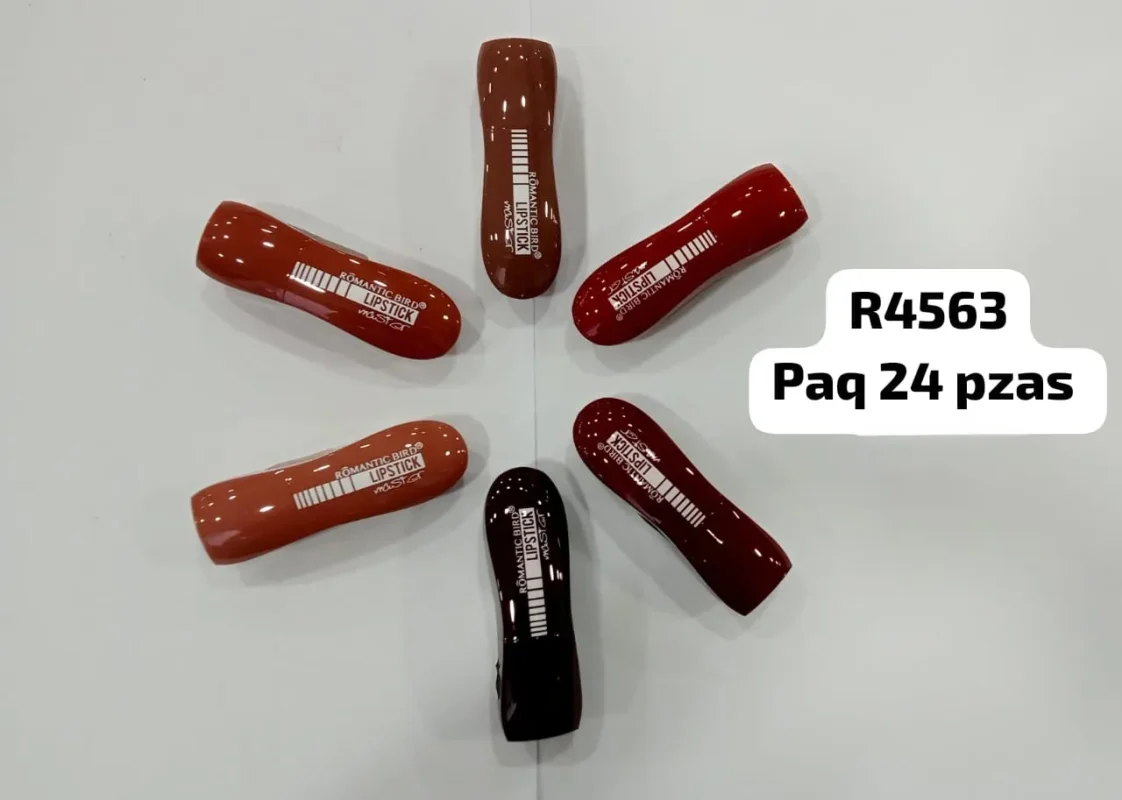 Maquillaje Labial Varios Colores-R4563