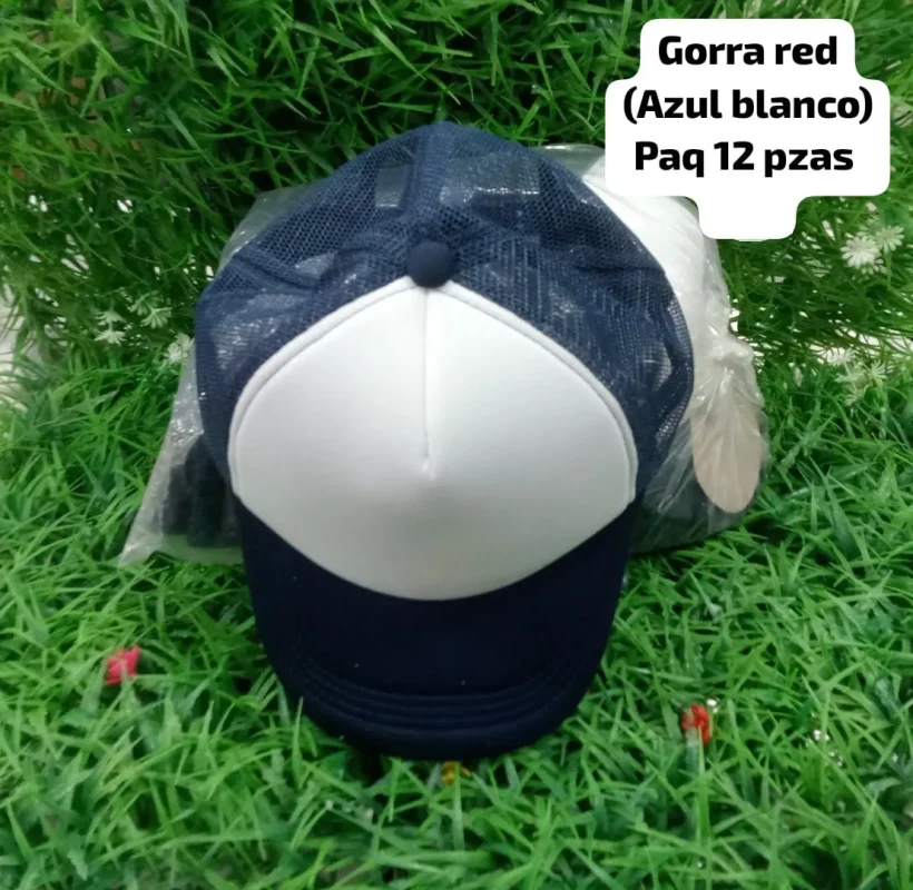 Gorra red azul y blanco-Gorra red