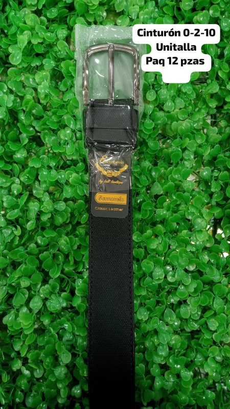Cinturon Casual-Cinturon 0-2-10