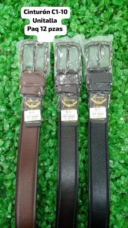 Cinturon Casual-Cinturon C1-10