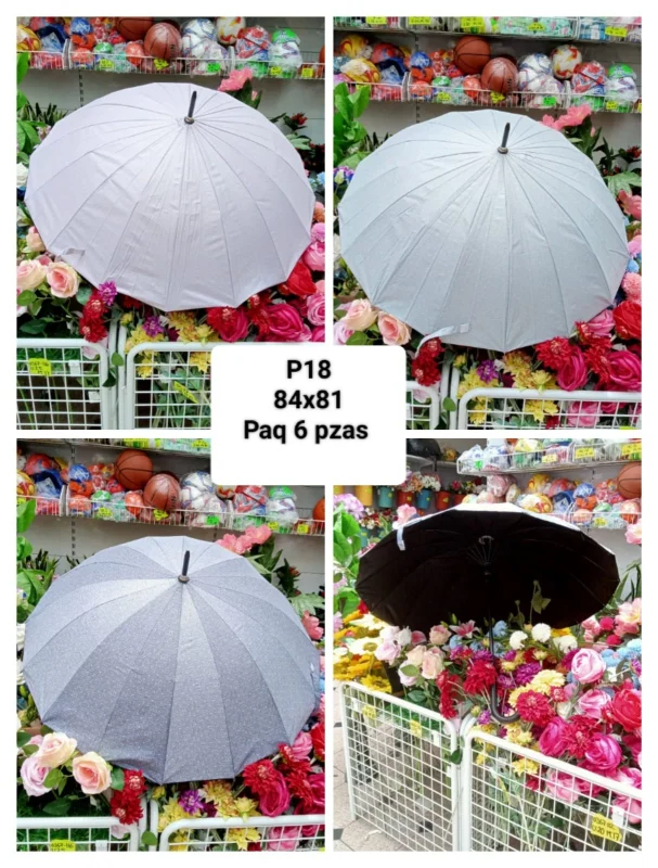 Paraguas de lluvia-P18