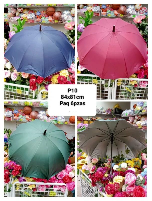 Paraguas de lluvia-P10
