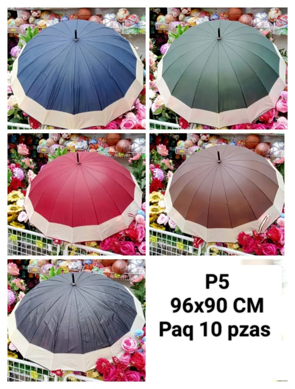 Paraguas de lluvia-P5