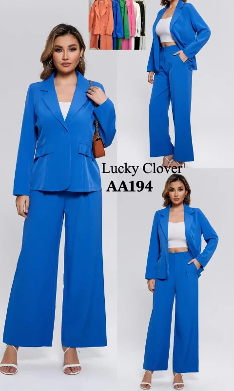 Pantalon acampanado y saco-1-AA194