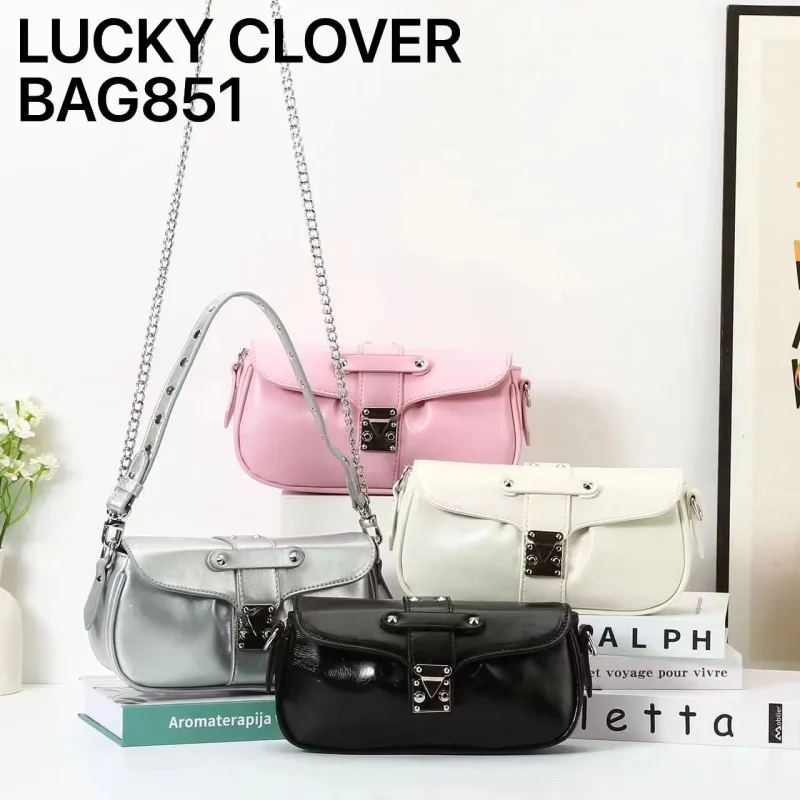 Bolsa Elegante-0-BAG851