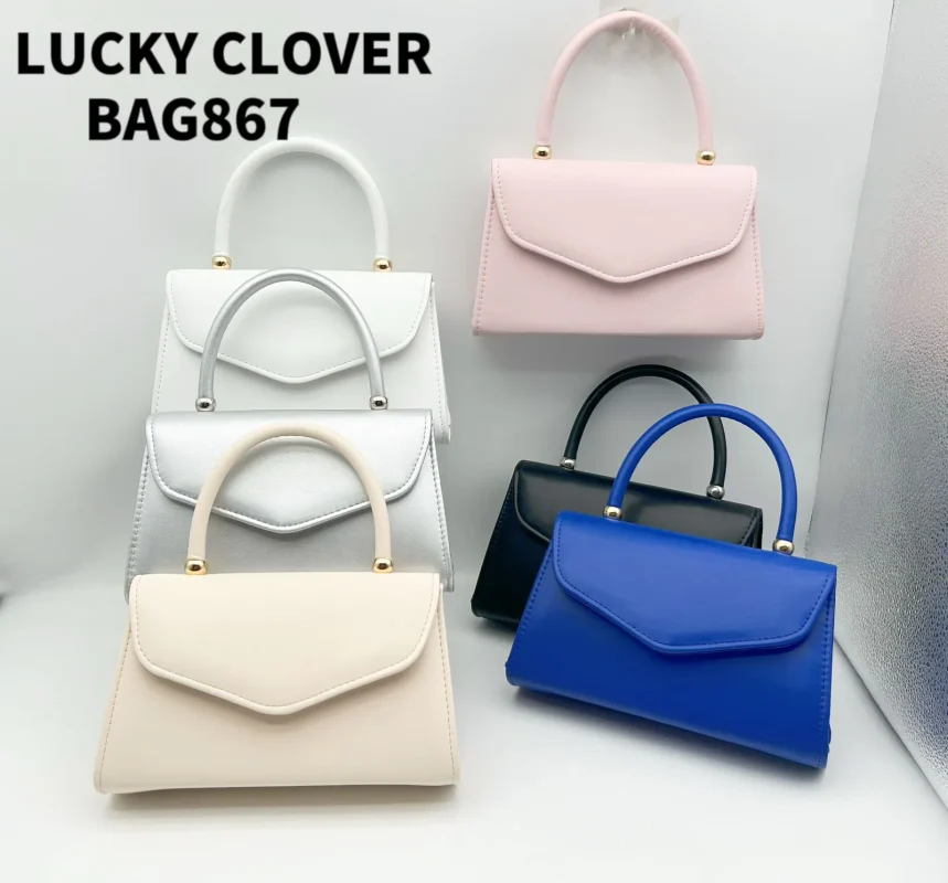 Bolsa Elegante-0-BAG867