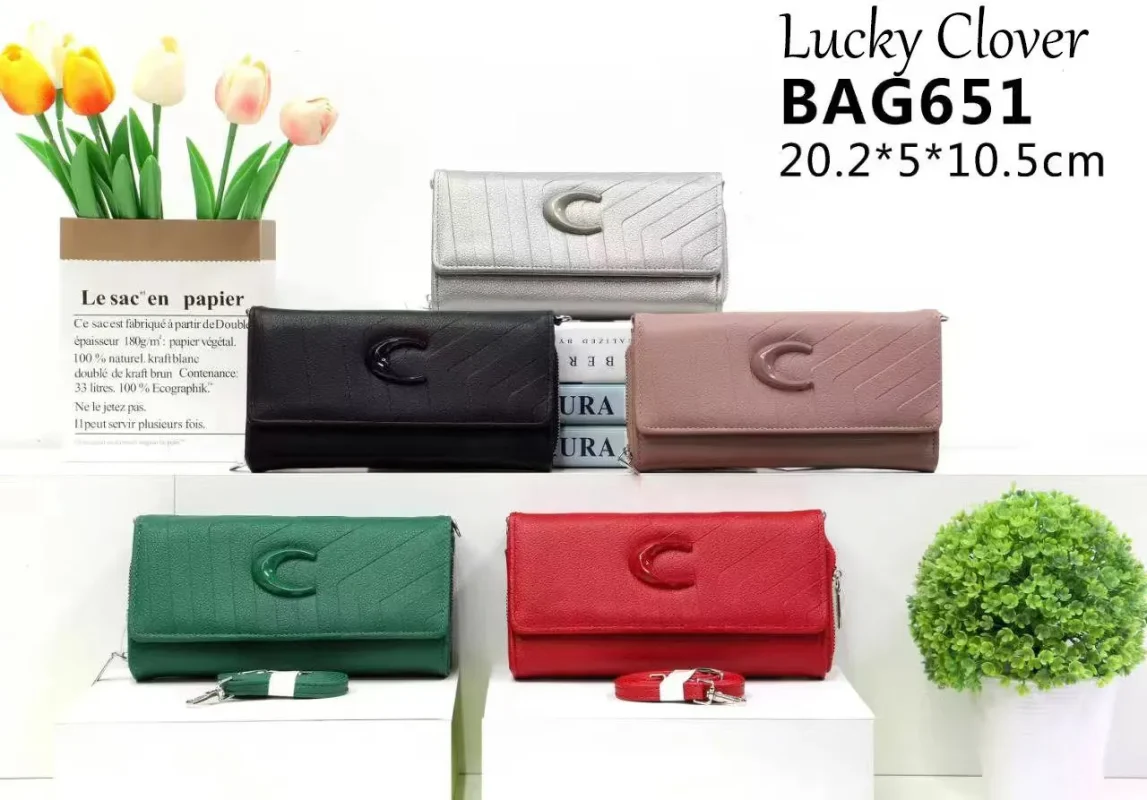 Cartera Elegante-BAG651