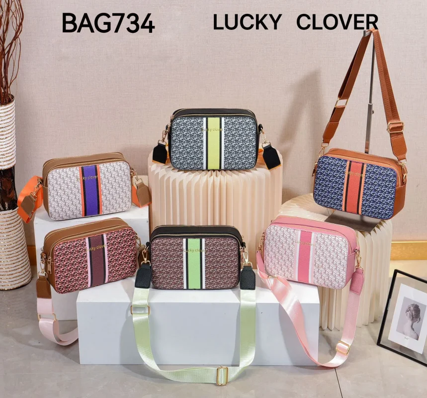 Bolsa Diseño Moderno-BAG734