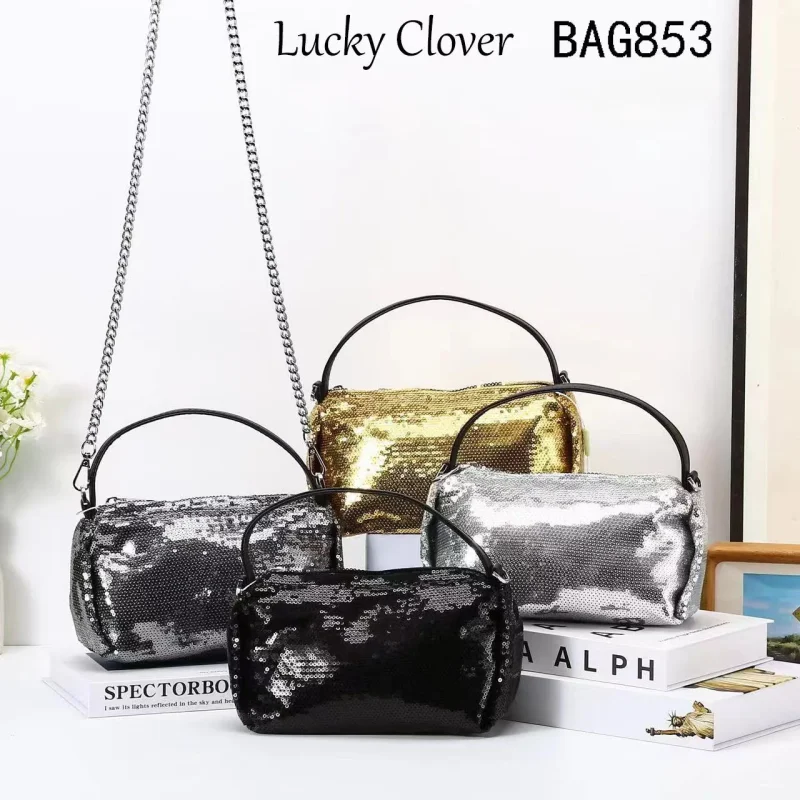 Bolsa Brillante-BAG853