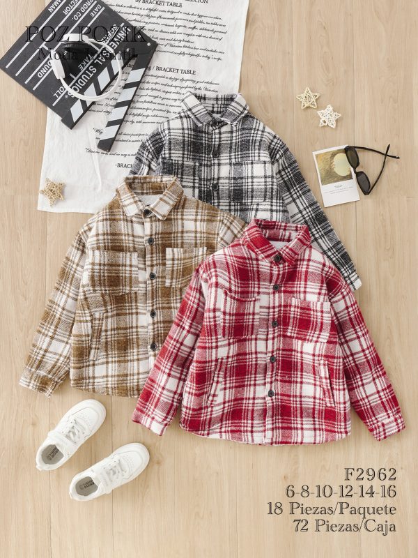Camisas a cuadros-F2962