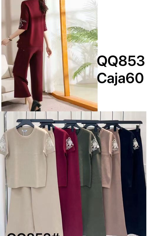 Conjunto de blusa y pantalón con bordado floral en la manga-QQ853