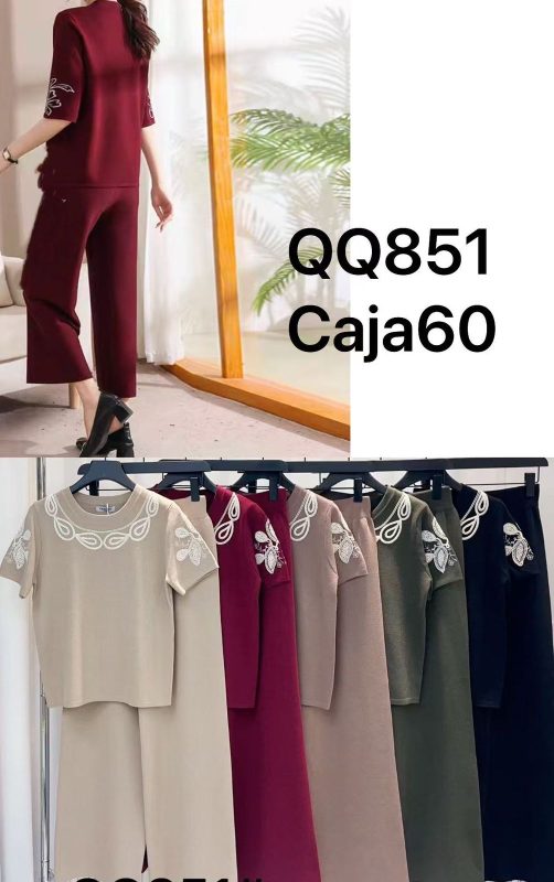 Conjunto de dos piezas con detalles bordados-QQ851