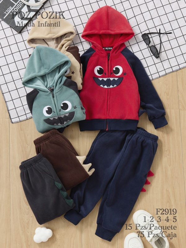 Conjuntos deportivos para niño-F2919