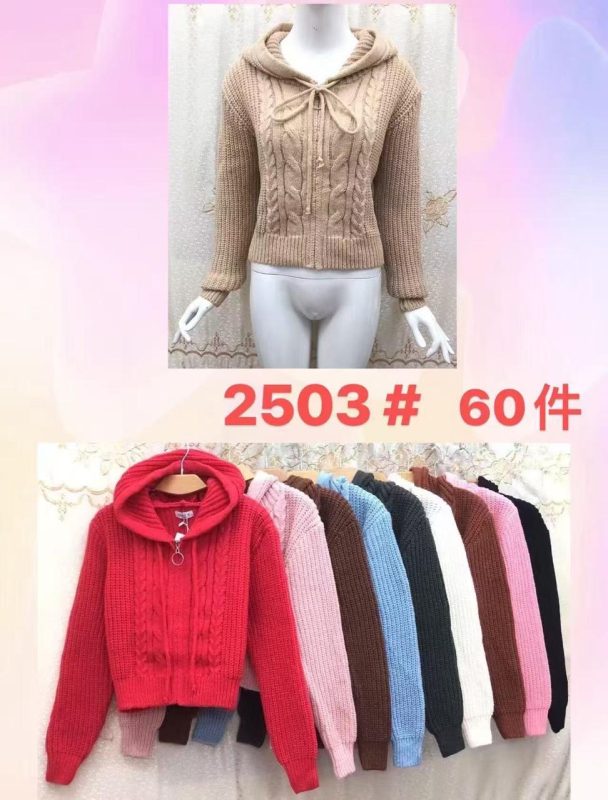 Suéter con capucha trenzado-JY2503